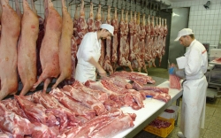 Orosz embargó: a feloldás után az elsők között exportálhatunk