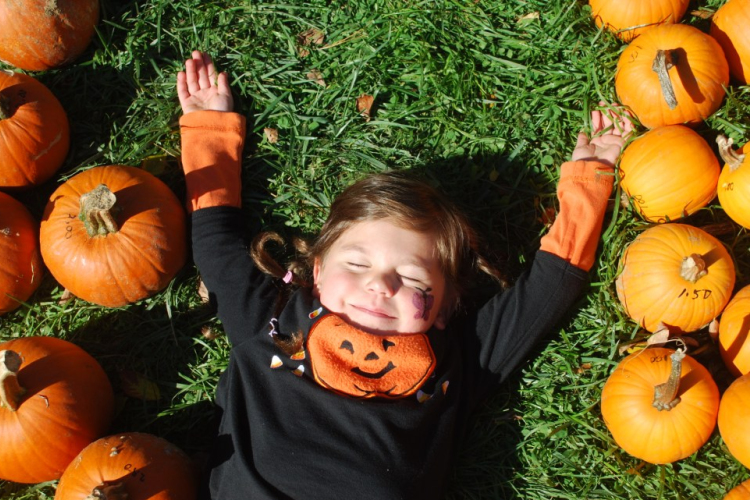 Sütőtökös tészta Halloween-ra!