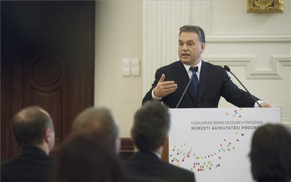 12 milliárd forintos agykutatási program indul