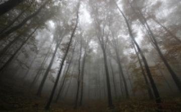 Uniós támogatással újul a Kiskunsági Nemzeti Park