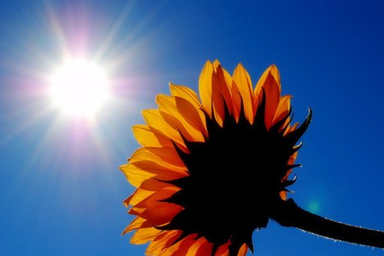 Most már marad a nyár