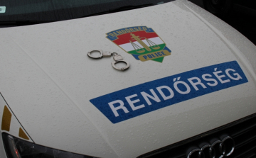 Kifosztotta alvó vendéglátóját
