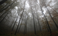 Uniós támogatással újul a Kiskunsági Nemzeti Park