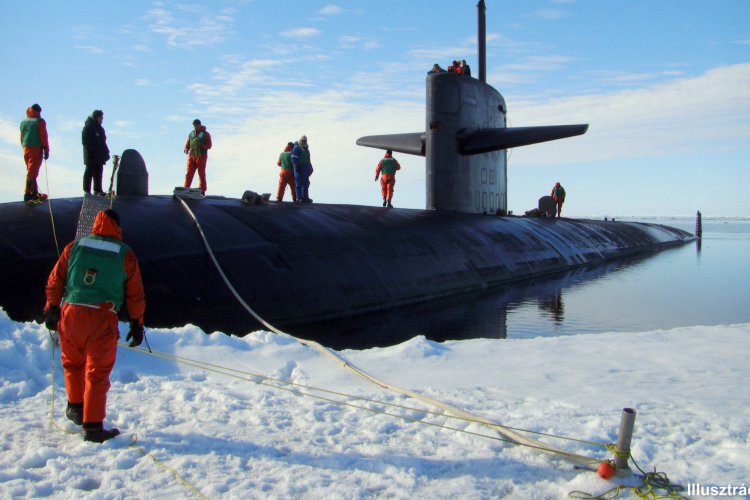 Sosem látott szörny bukkant fel az Északi-sarkon