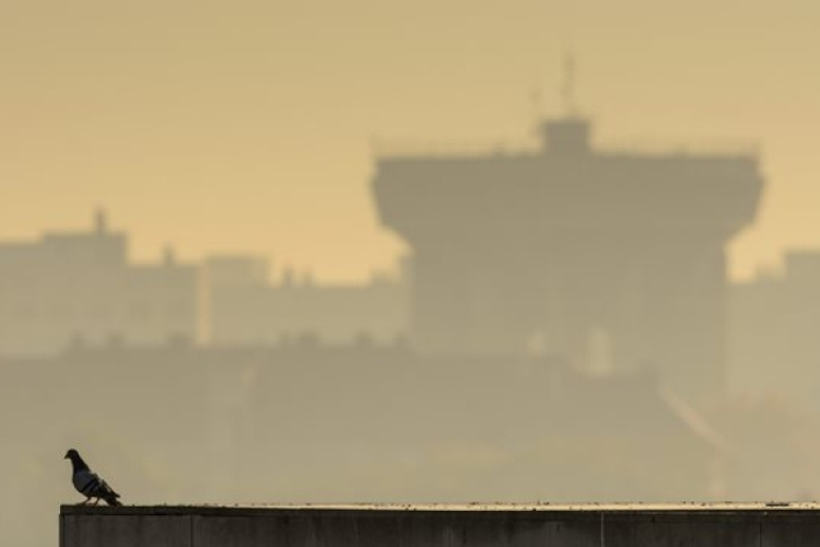 Többfelé veszélyes a levegő minősége