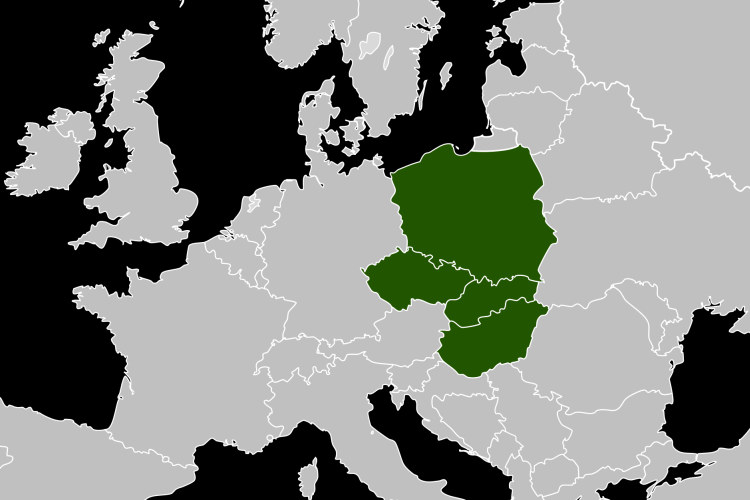 Évértékelő - A visegrádi együttműködés bizonyította életképességét