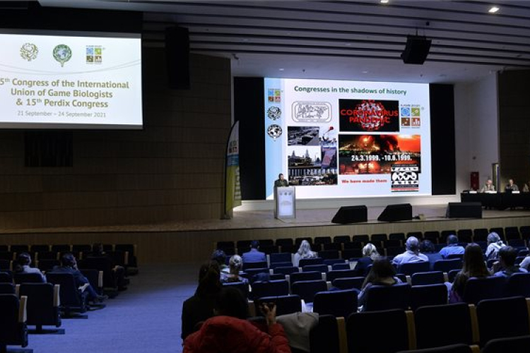 Nyolc pavilonban várják a látogatókat a Vadászati világkiállításon