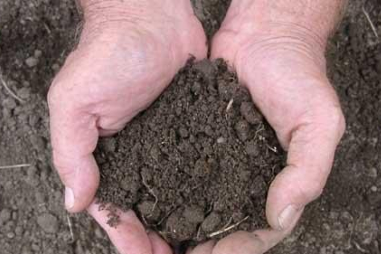 Minta lehet a magyar földtörvény