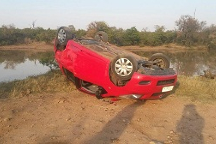 Felborította egy elefánt turisták autóját egy dél-afrikai nemzeti parkban