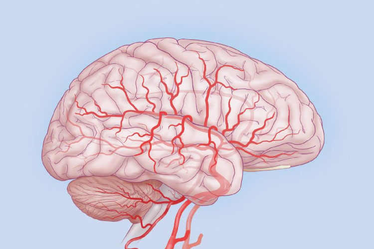 Kutatók sikeresen hallgatták le az agyhullámokat