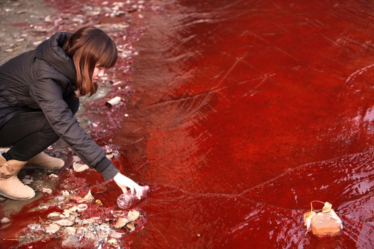 Gyógyszermaradványokkal vannak tele a kínai felszíni vizek
