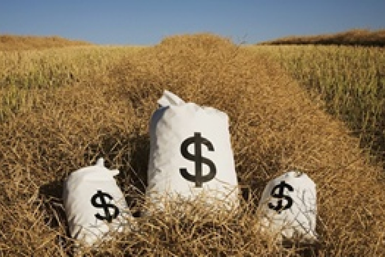 Az alacsony gabonaárak az állattenyésztőknek kedveznek