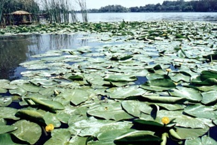 Hamarosan a kormány elé kerül a vízstratégia