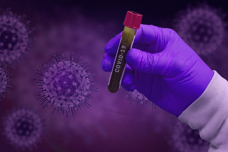 A Hollandiában feljegyzett új esetek csaknem felét a vírus brit változata teszi ki