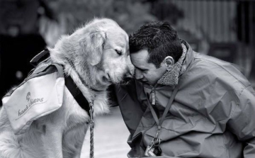 Legendás kutyák hőstettei