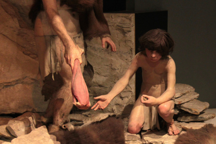 A neandervölgyi ember azért halhatott ki, mert nem ismerte fel a tűz jelentőségét