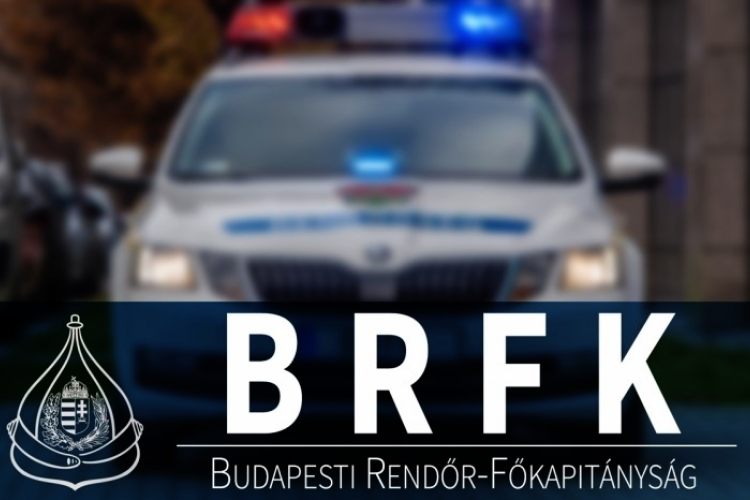 LAKOSSÁGI SEGÍTSÉGGEL FOGTÁK EL A RABLÓT A BUDAPESTI RENDŐRÖK